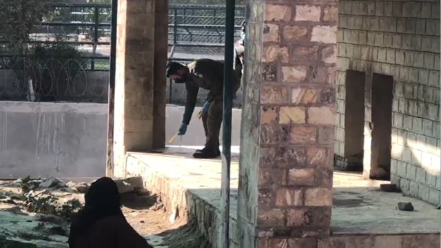 شیر کے پنجرے میں لاش